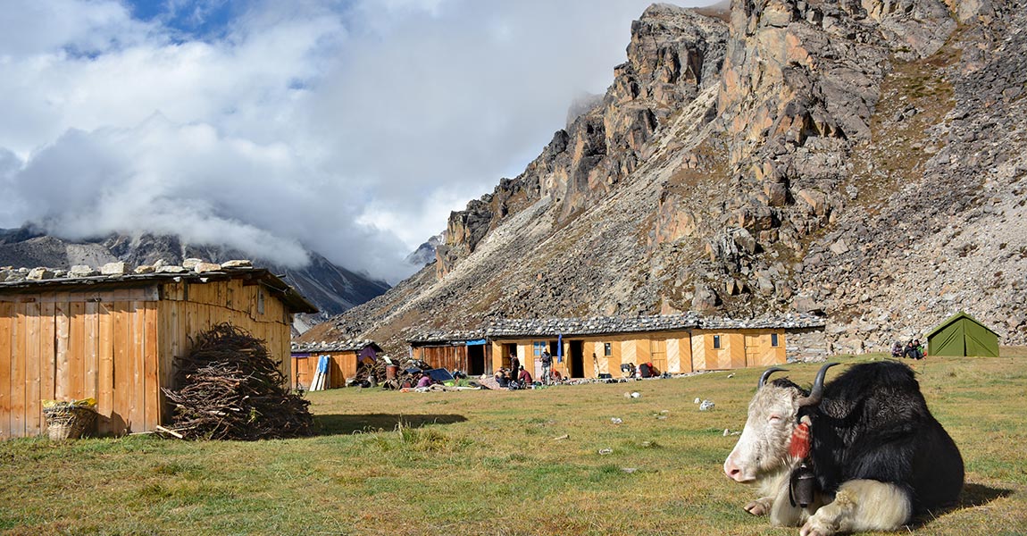 kanchenjunga circuit trek
